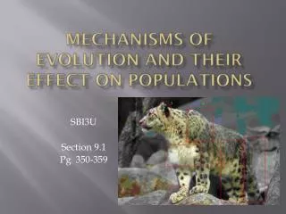 Mechanisms of evolution and their effect on populations
