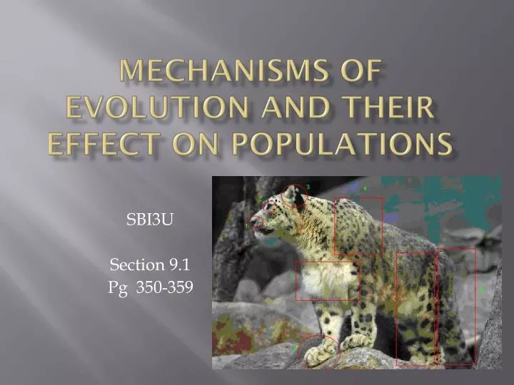 mechanisms of evolution and their effect on populations