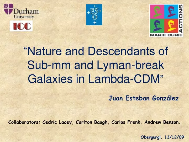 nature and descendants of sub mm and lyman break galaxies in lambda cdm