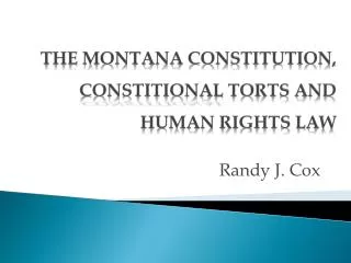 THE MONTANA CONSTITUTION, CONSTITIONAL TORTS AND HUMAN RIGHTS LAW