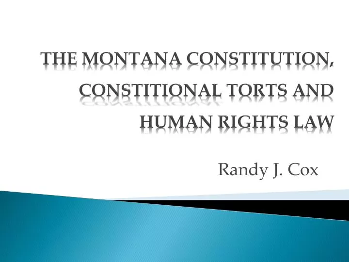 the montana constitution constitional torts and human rights law
