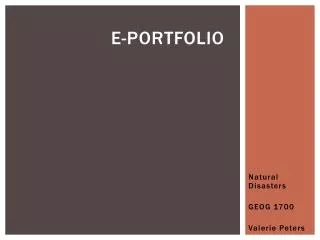 e portfolio