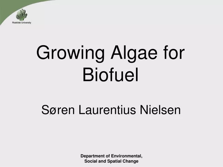 growing algae for biofuel