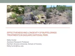 Effectiveness and longevity of buffelgrass treatments in sAguaro National Park