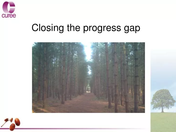 closing the progress gap