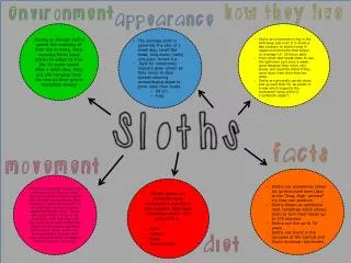 sloth poster
