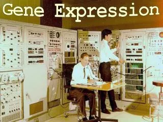 Gene Expression