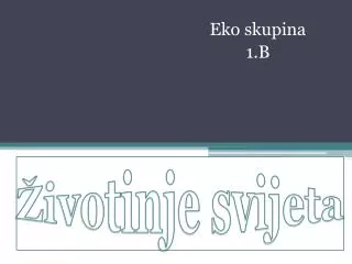 ivotinje svijeta