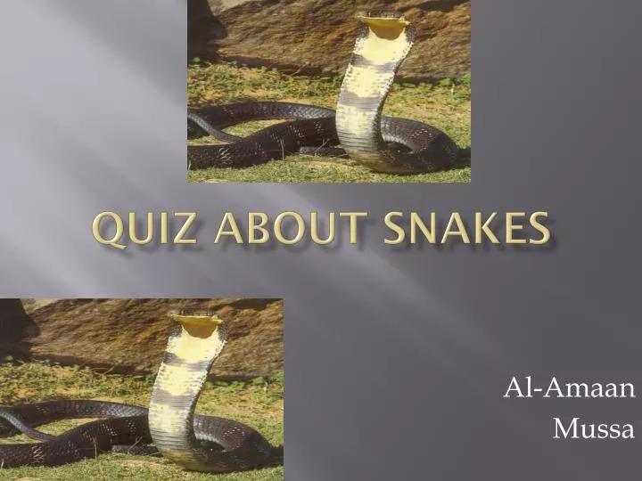 quiz about snakes