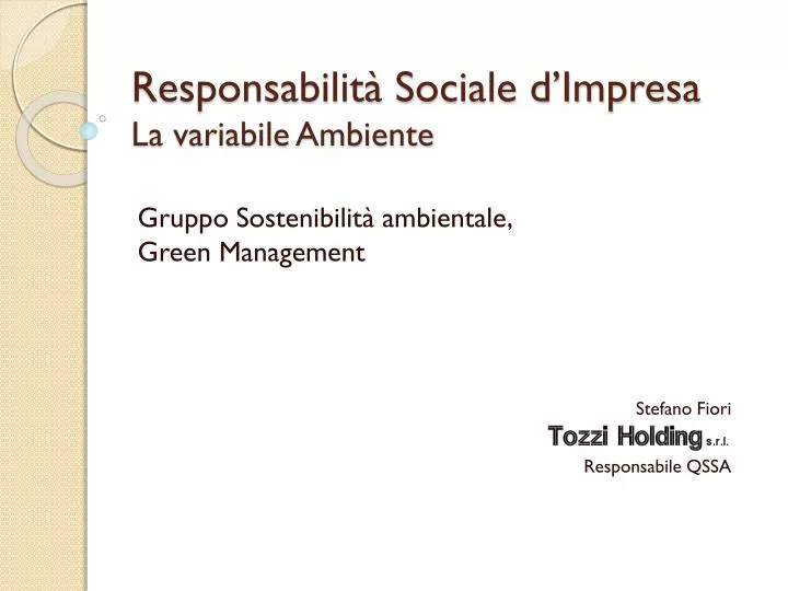 responsabilit sociale d impresa la variabile ambiente