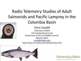 Radio Telemetry Studies of Adult Salmonids and Pacific Lamprey in the Columbia Basin