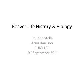 Beaver Life History &amp; Biology