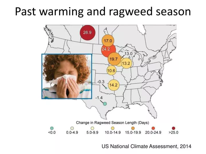 past warming and ragweed season