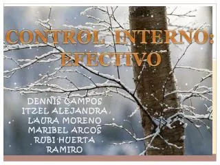control interno efectivo
