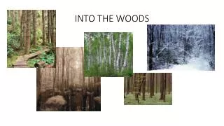 INTO THE WOODS