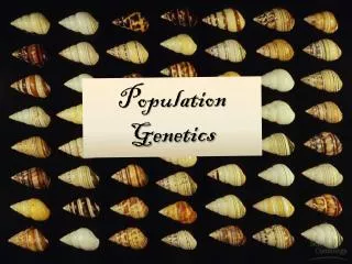 Population Genetics