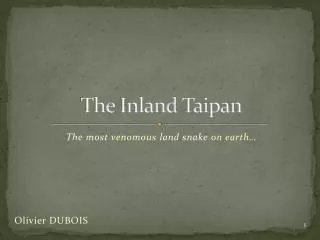 The Inland Taipan