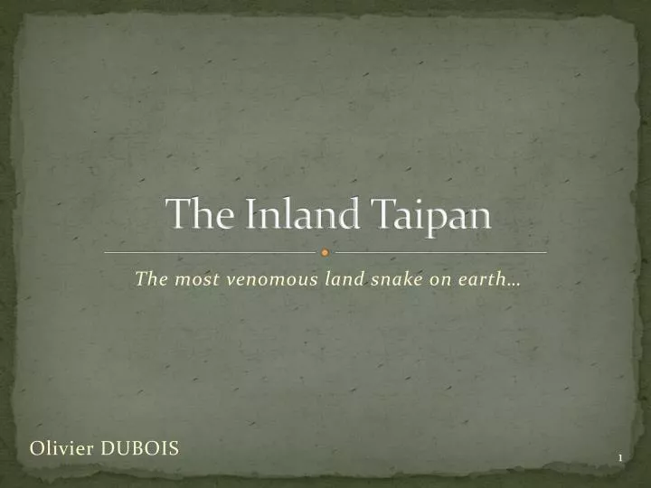 the inland taipan