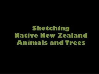 Sketching Native New Zealand Animals and Trees