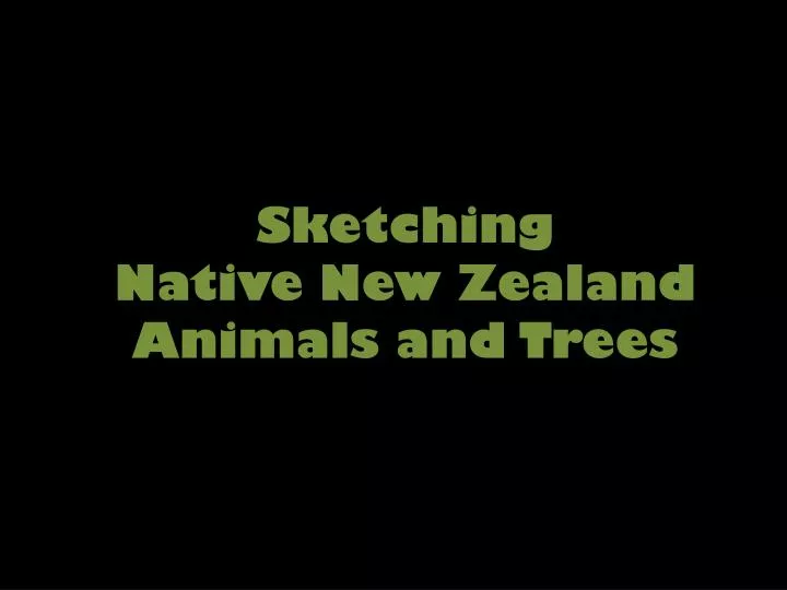sketching native new zealand animals and trees