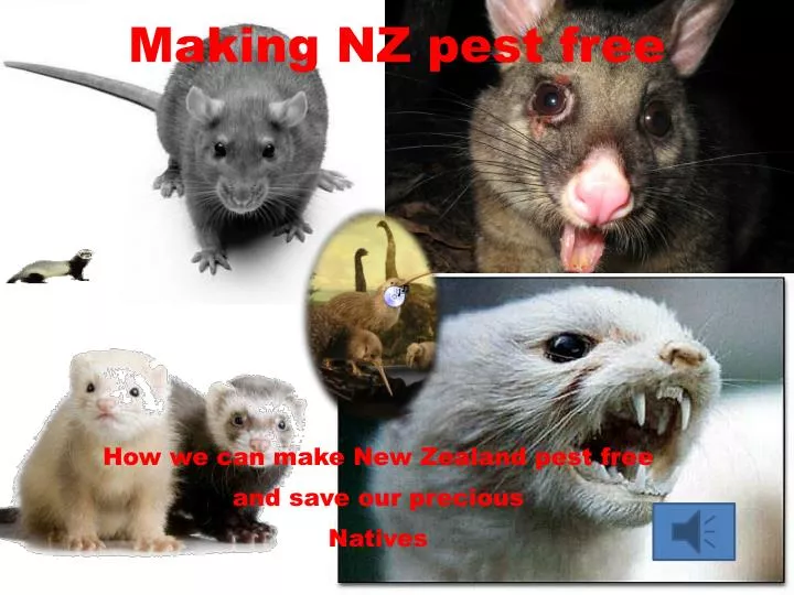 making nz pest free