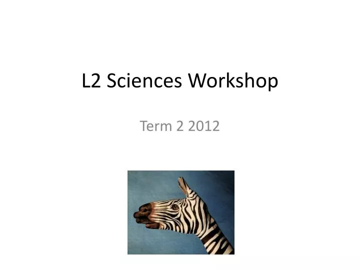 l2 sciences workshop