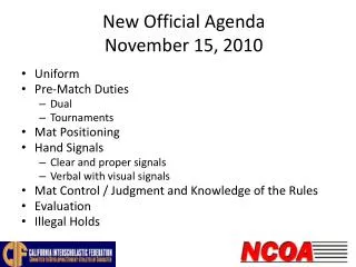 New Official Agenda November 15, 2010