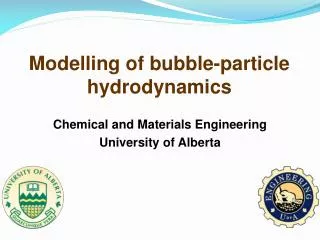 Modelling of bubble-particle hydrodynamics