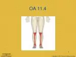 OA 11.4 - slide 1