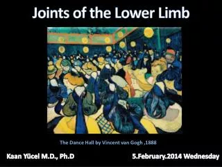 Joints of the Lower Limb