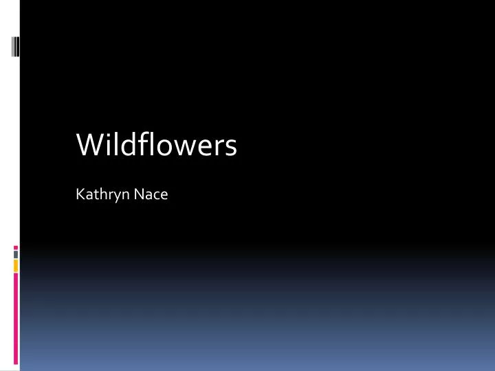 wildflowers kathryn nace