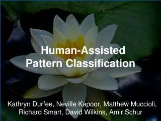 Human - Assisted Pattern Classification