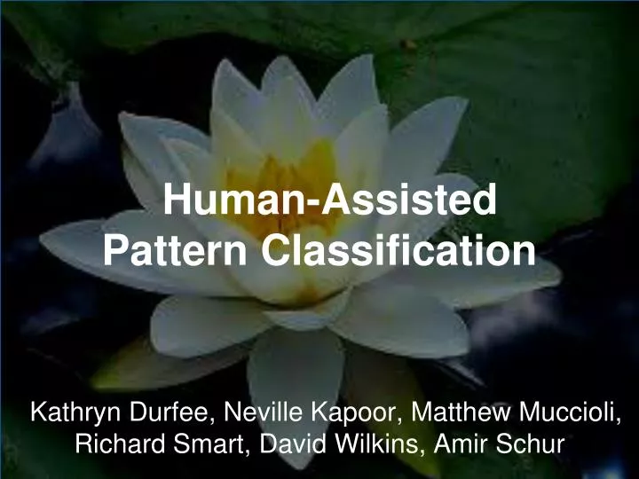 human assisted pattern classification