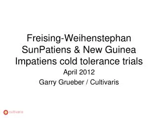Freising-Weihenstephan SunPatiens &amp; New Guinea Impatiens cold tolerance trials