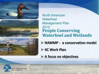 NAWMP - a conservation model IIC Work Plan A focus on objectives
