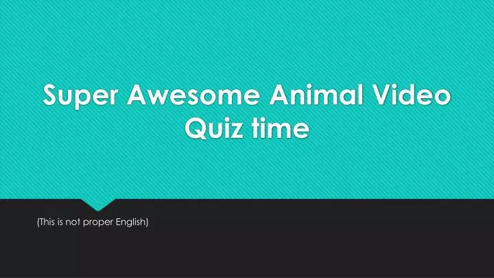 super awesome animal video quiz time
