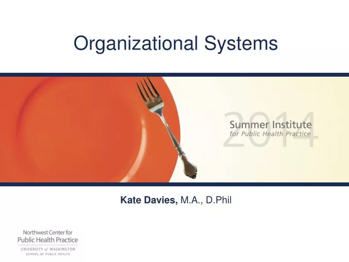 organizational systems