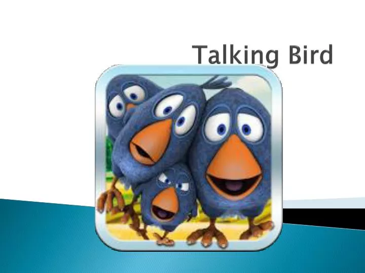 talking bird