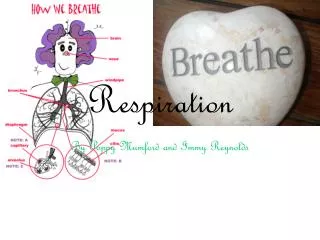 Respiration