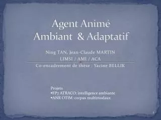 agent anim ambiant adaptatif