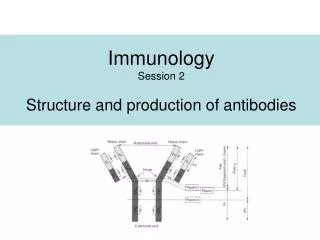 Immunology Session 2 Structure and production of a ntibodies