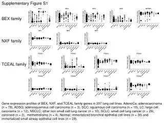 Supplementary Figure S1