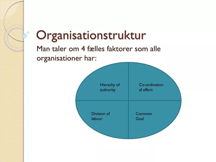 organisationstruktur