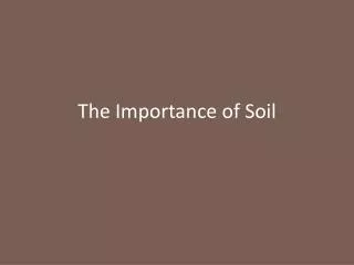 The Importance of Soil