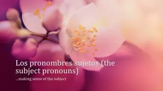 Los pronombres sujetos (the subject pronouns)