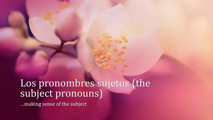 los pronombres sujetos the subject pronouns