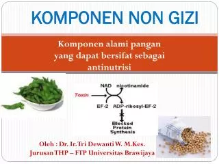komponen non gizi