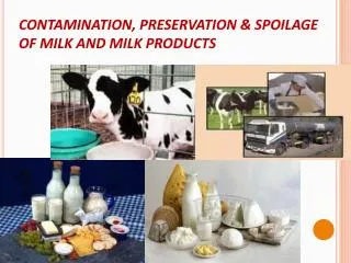 CONTAMINATION, PRESERVATION &amp; SPOILAGE OF MILK AND MILK PRODUCTS