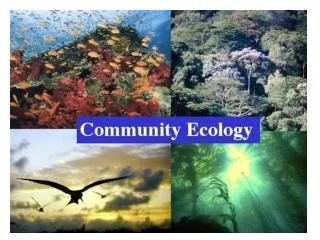 Factors affecting the distribution of plant and animal species