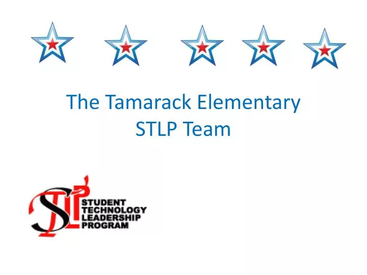 the tamarack elementary stlp team